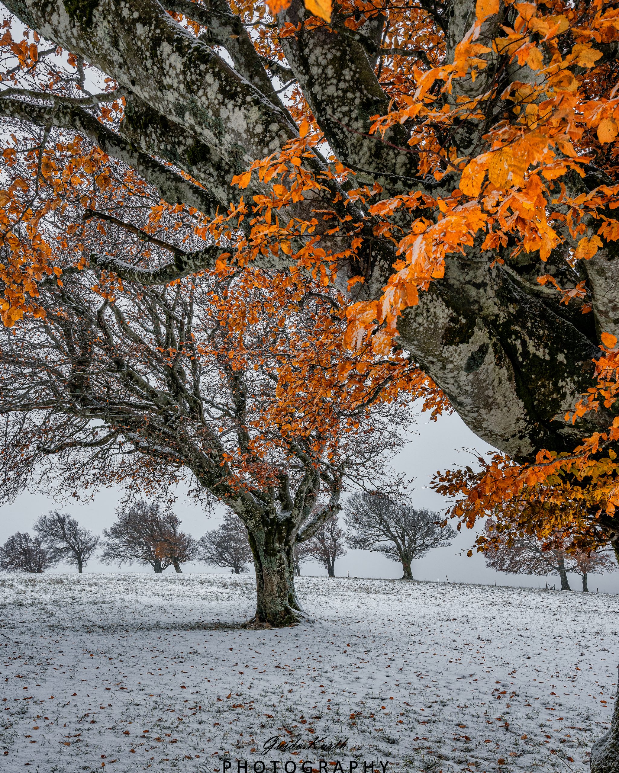 Du betrachtest gerade Herbst trifft Winter…