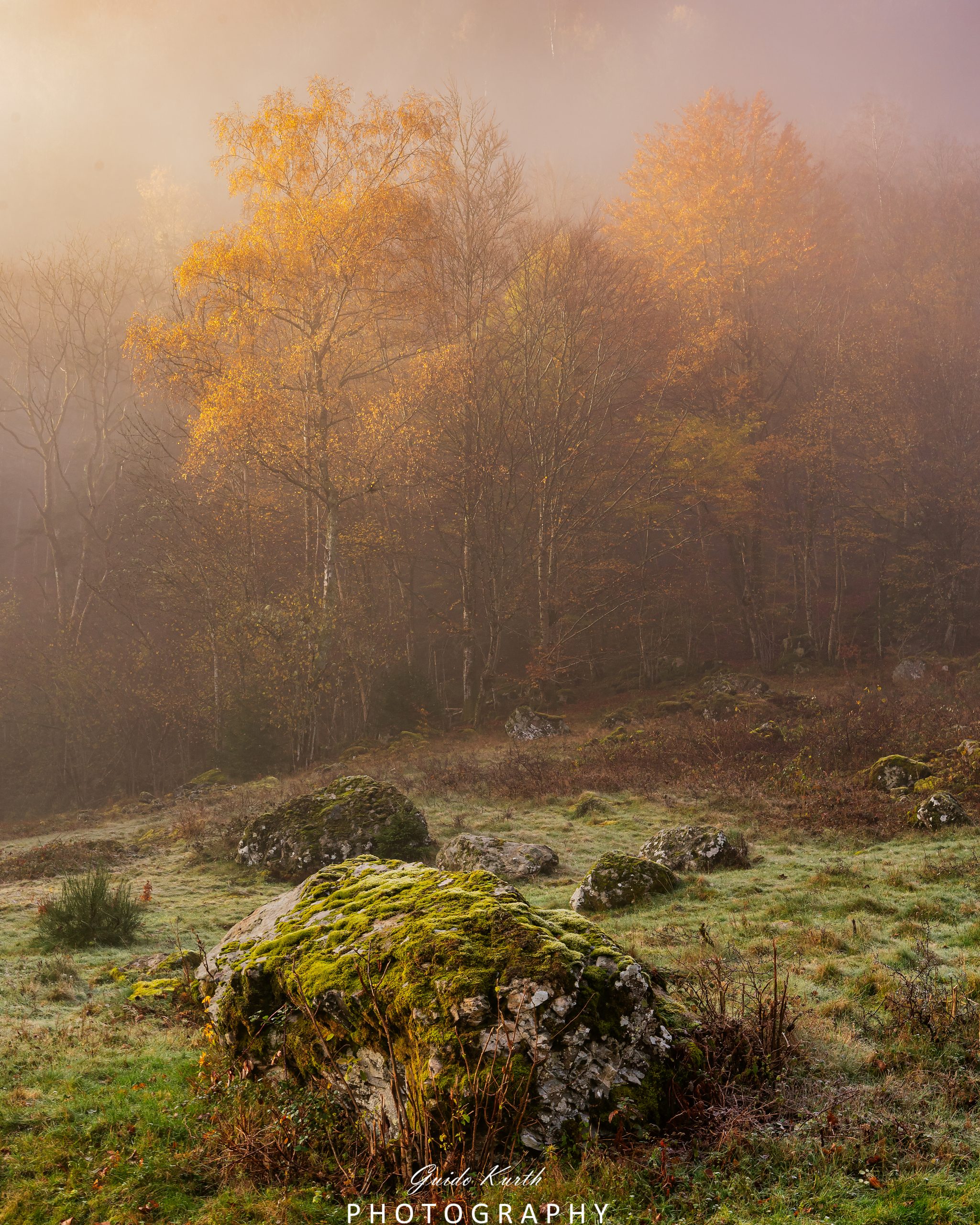 Du betrachtest gerade Nebel und Herbst…