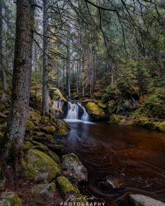Mehr über den Artikel erfahren Irgendwo im Schwarzwald…