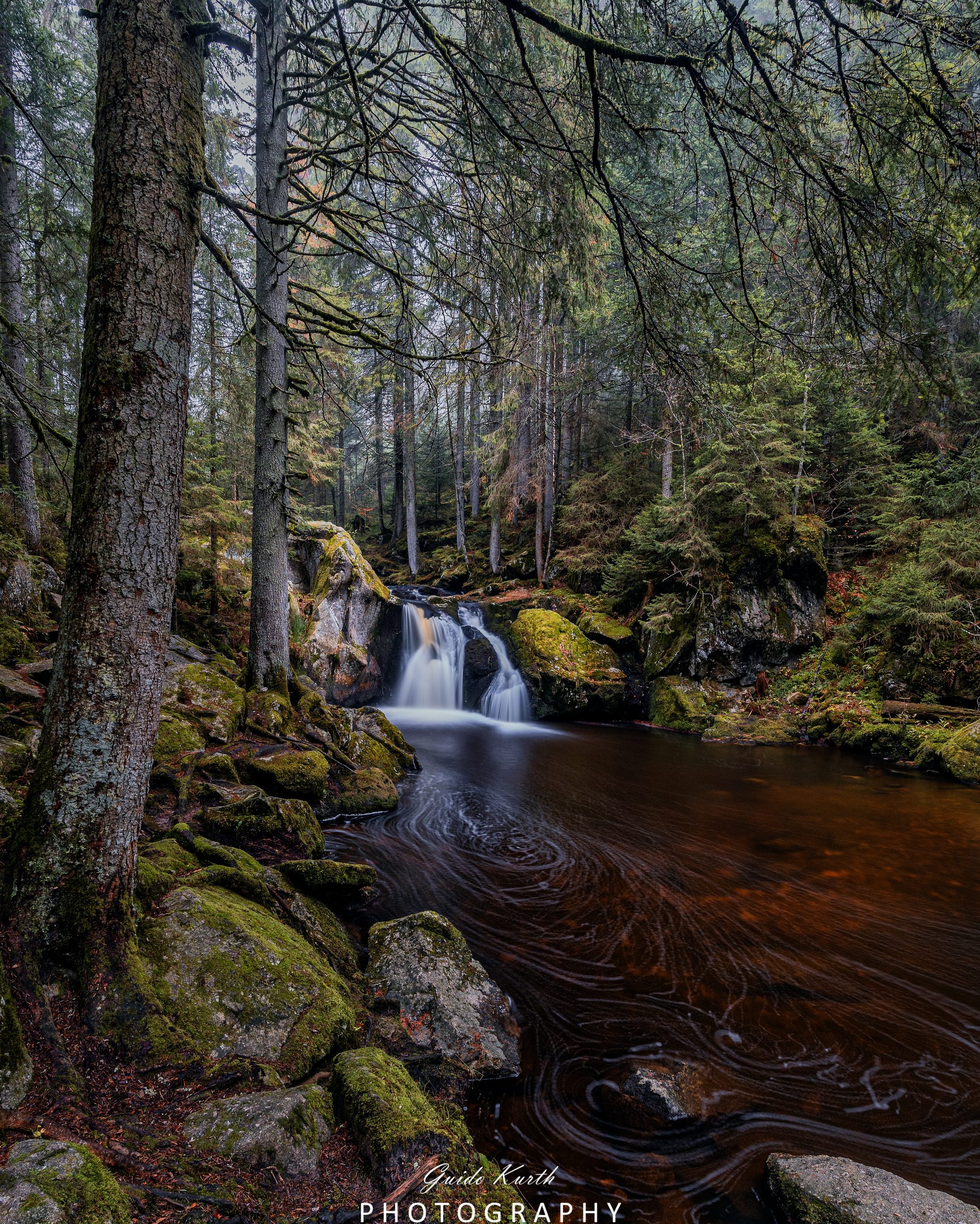 Du betrachtest gerade Irgendwo im Schwarzwald…