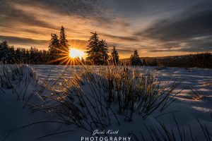 Mehr über den Artikel erfahren Erste Morgenstrahlen…