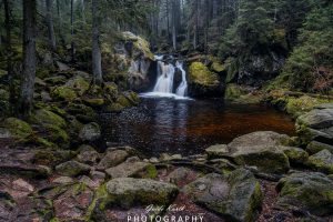 Mehr über den Artikel erfahren Irgendwo im Schwarzwald…