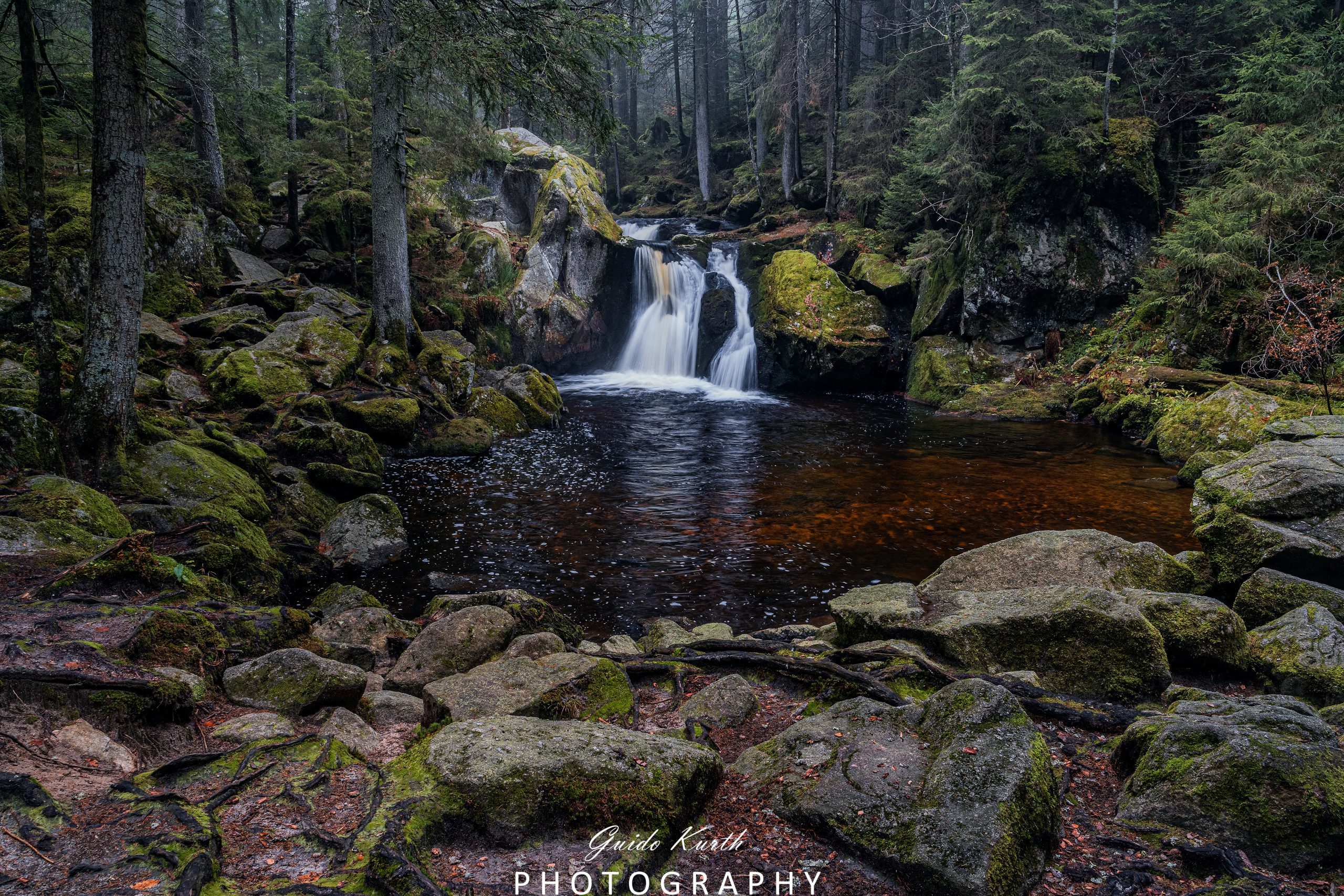 Du betrachtest gerade Irgendwo im Schwarzwald…