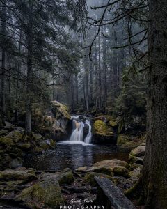 Mehr über den Artikel erfahren Irgendwo im Schwarzwald…