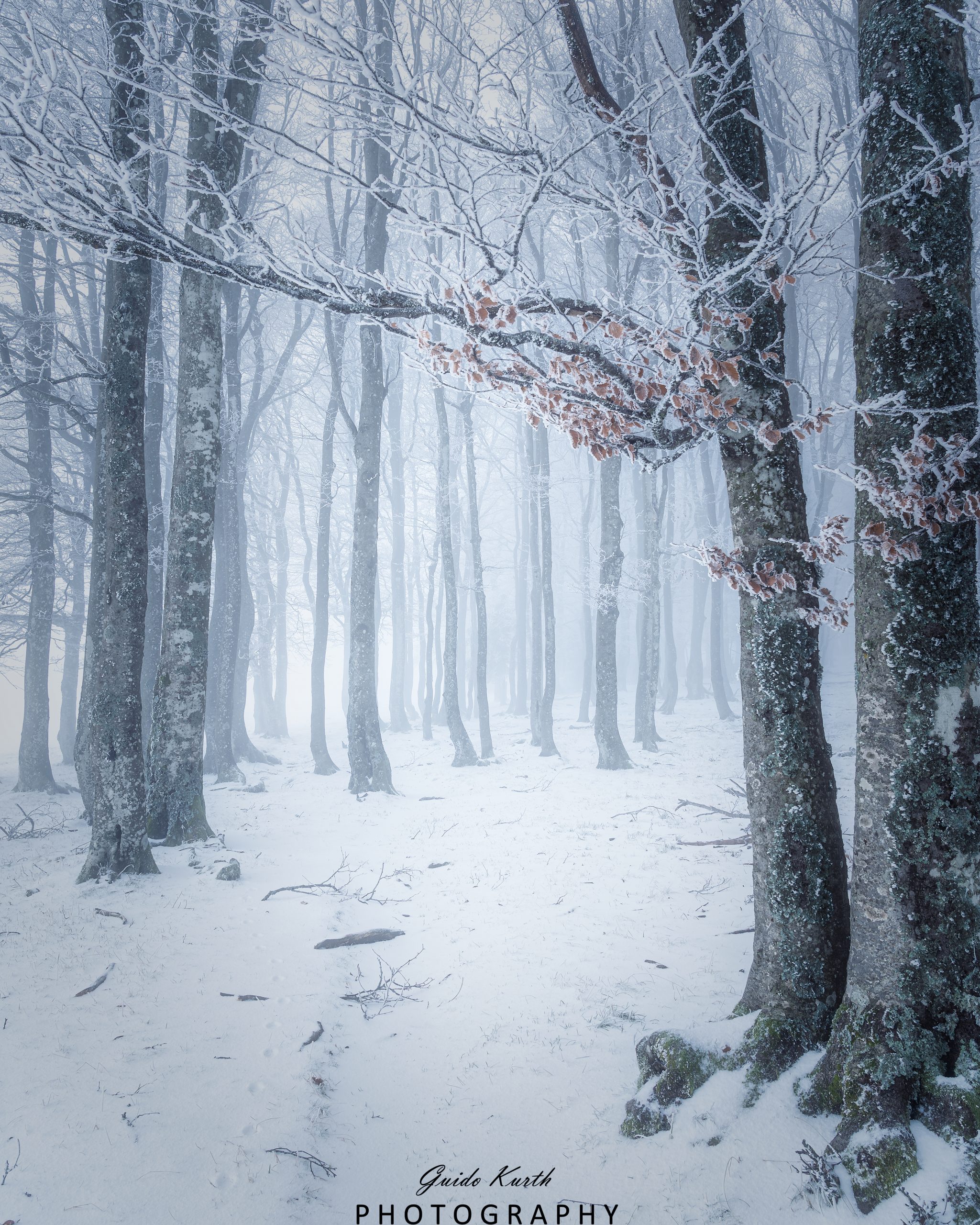 Du betrachtest gerade Moody Winter Day