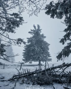Mehr über den Artikel erfahren Moody Winter Day