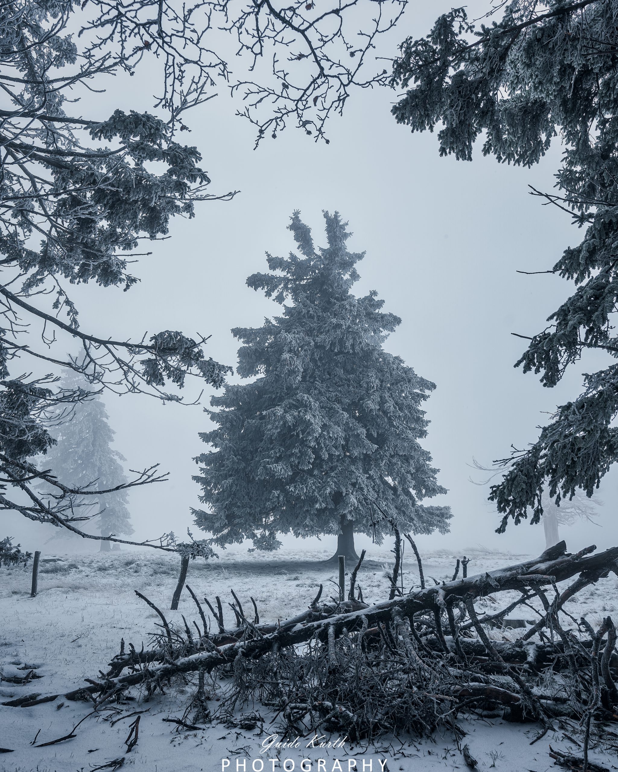 Du betrachtest gerade Moody Winter Day