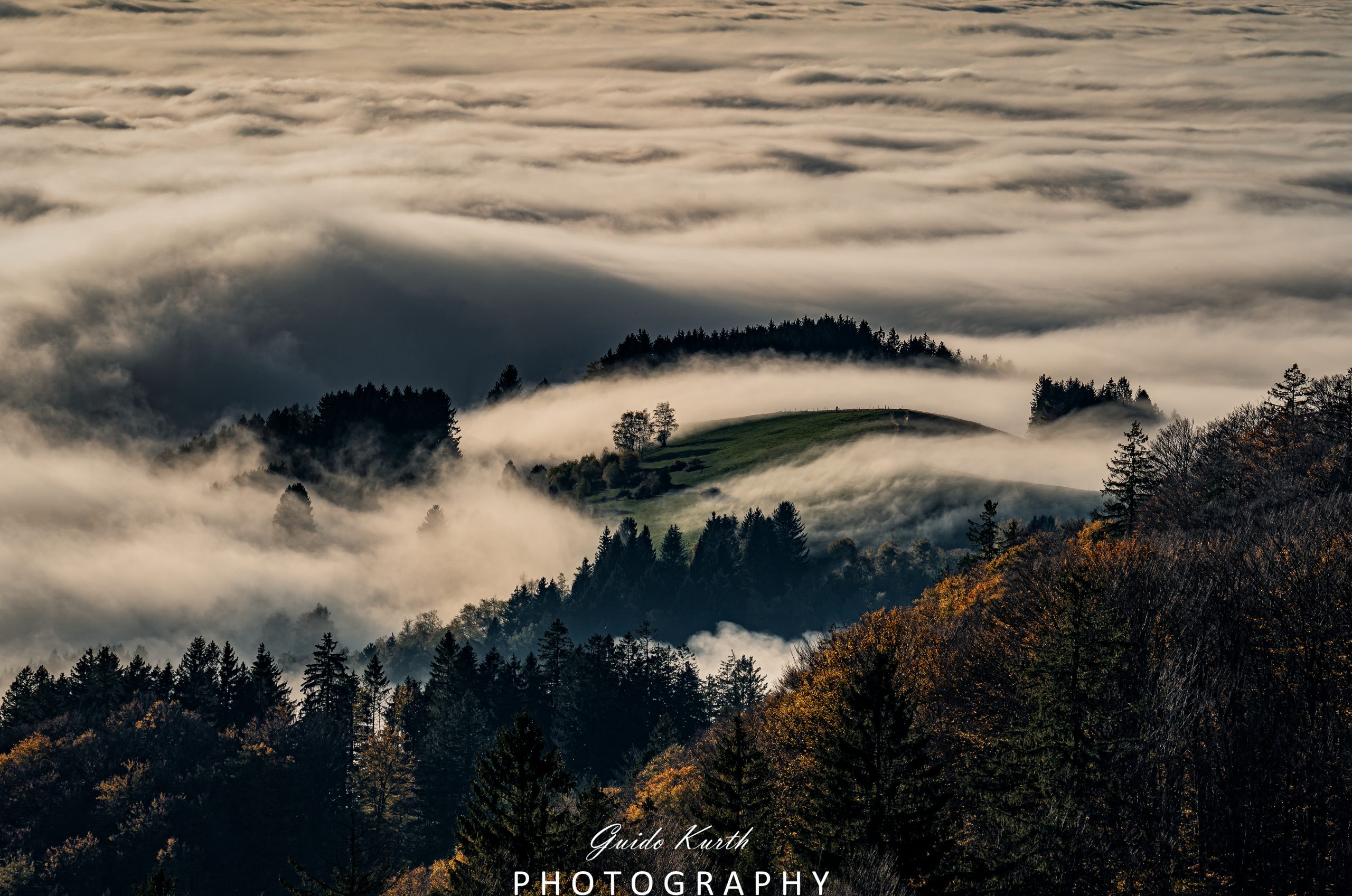 Du betrachtest gerade Nebelwelle…