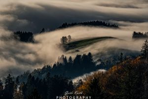 Mehr über den Artikel erfahren Immer wieder schön…