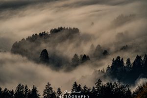 Mehr über den Artikel erfahren Nebel Magie…