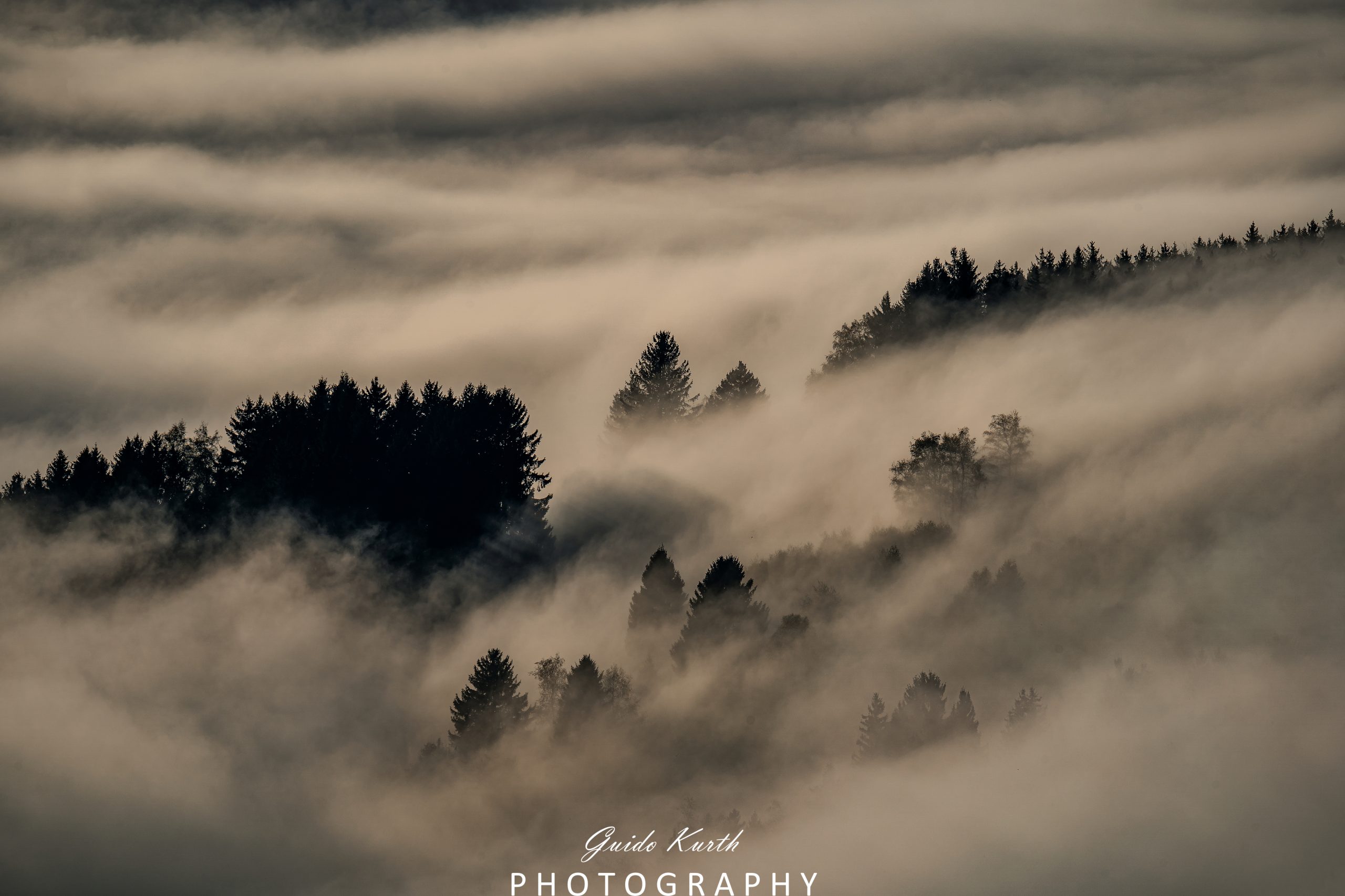 Du betrachtest gerade Nebel Magie…