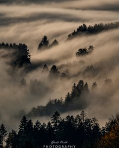 Mehr über den Artikel erfahren Nebel Magie…