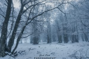 Mehr über den Artikel erfahren Moody Winter Day