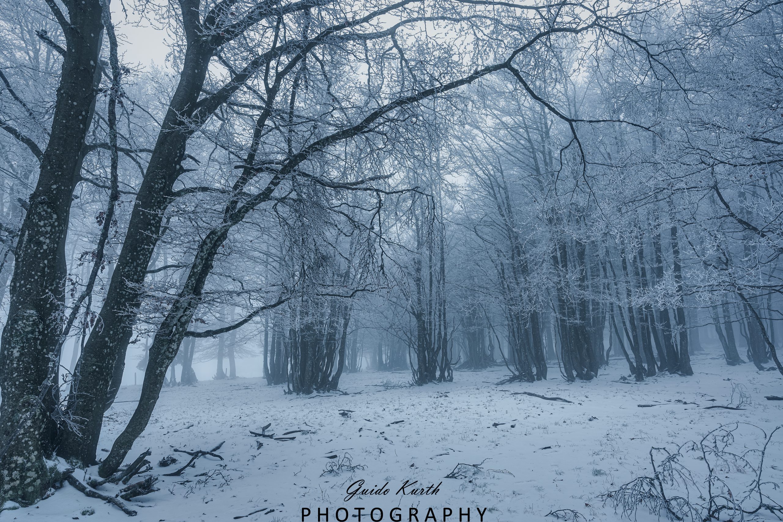 Du betrachtest gerade Moody Winter Day