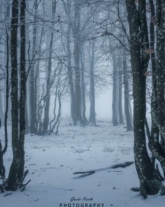 Mehr über den Artikel erfahren Moody Winter Day