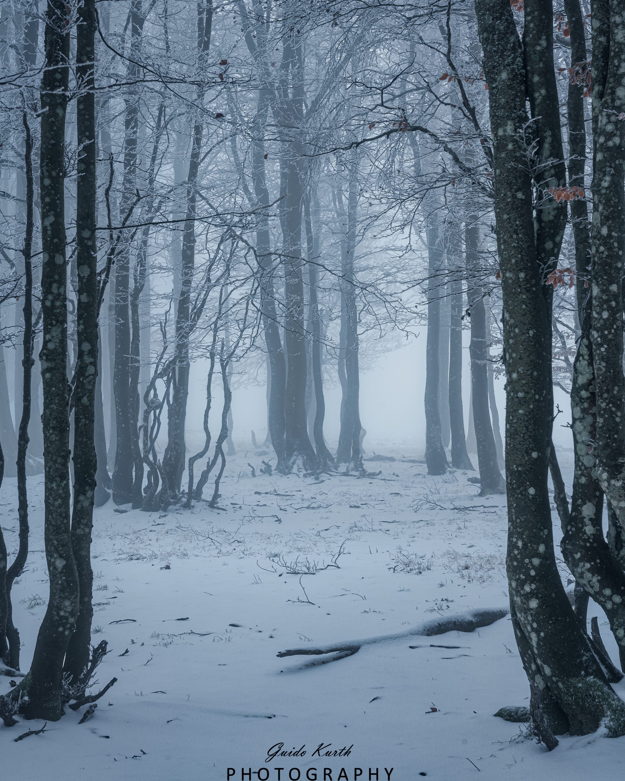 Du betrachtest gerade Moody Winter Day