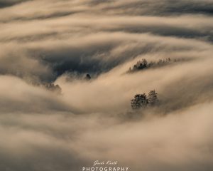 Mehr über den Artikel erfahren Nebel Magie…