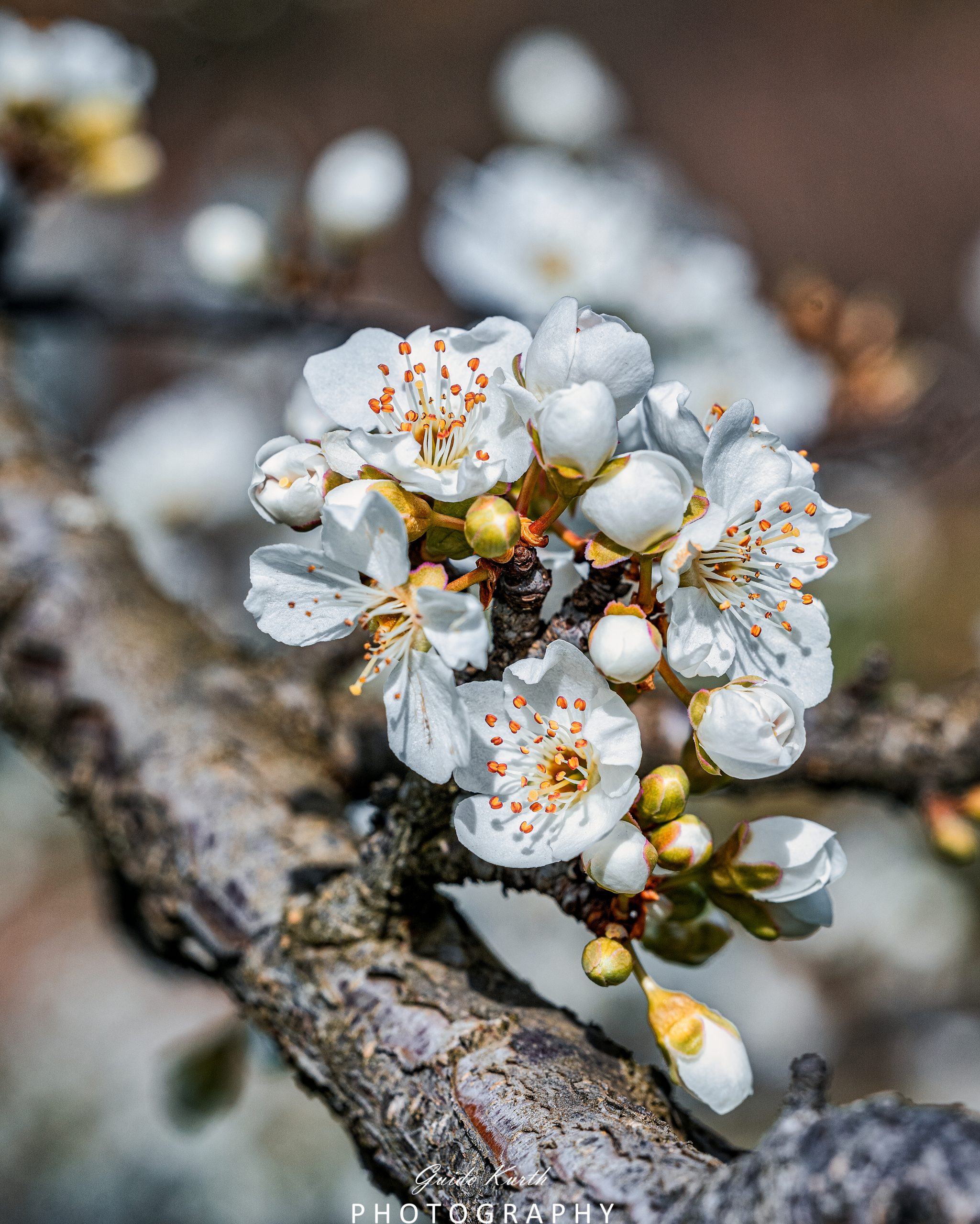 Mehr über den Artikel erfahren Frühlingserwachen