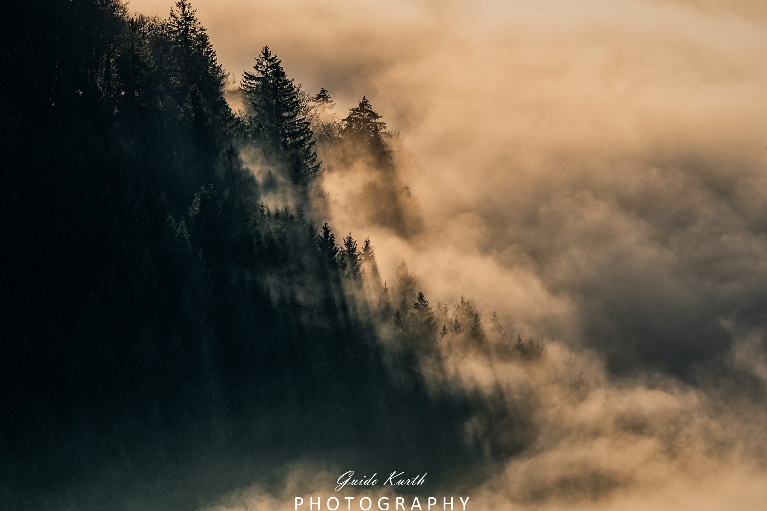 Du betrachtest gerade Nebel Magie…