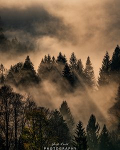 Mehr über den Artikel erfahren Nebel Magie…