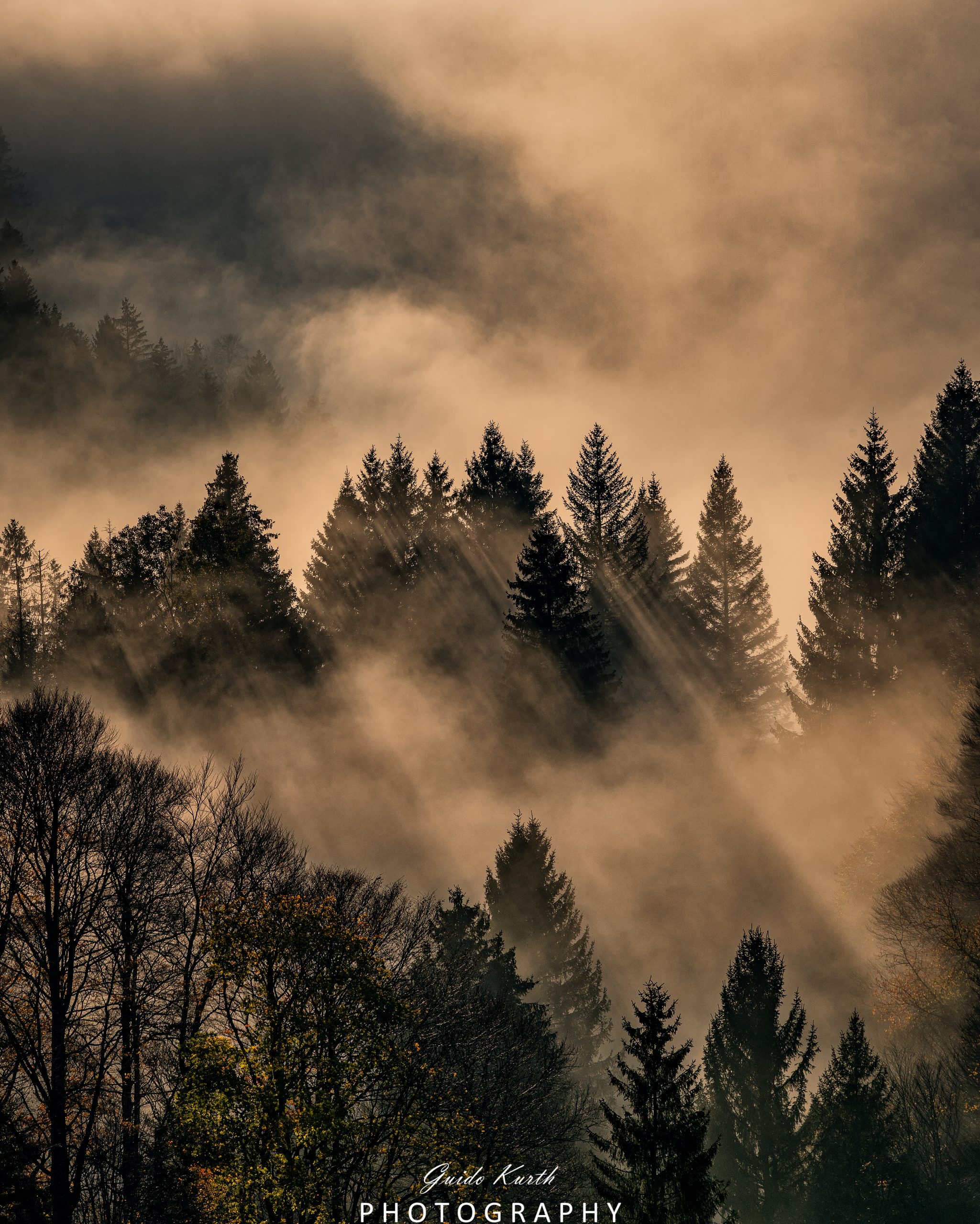 Du betrachtest gerade Nebel Magie…