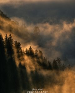 Mehr über den Artikel erfahren Fog meets Sun…