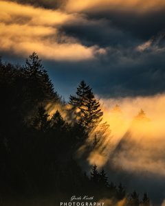 Mehr über den Artikel erfahren Fog meets Sun…