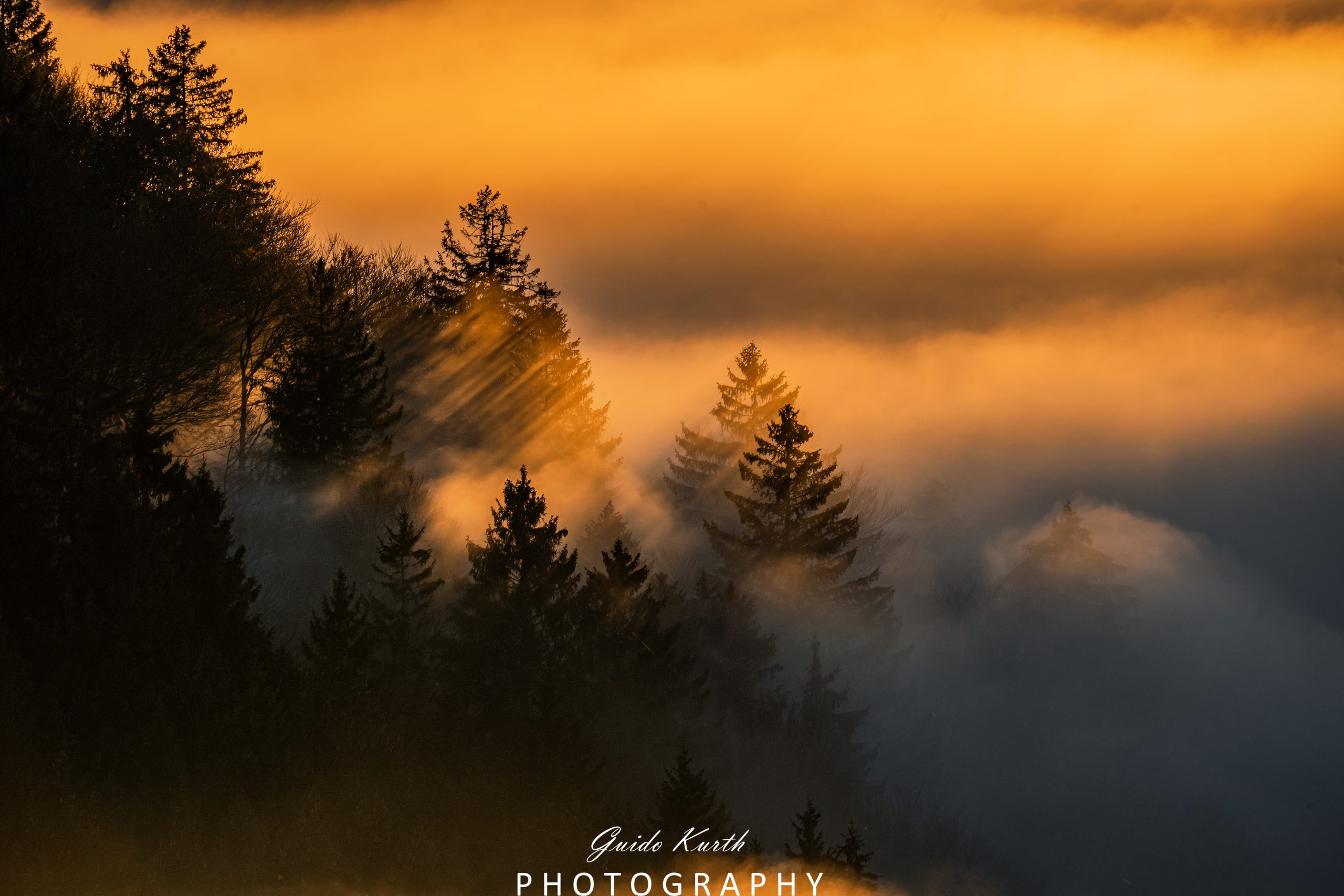 Mehr über den Artikel erfahren Fog meets Sun…