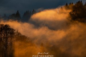 Mehr über den Artikel erfahren Fog meets Sun…