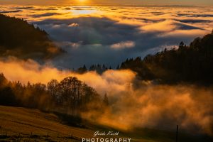 Mehr über den Artikel erfahren Fog meets Sun…