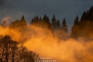 Mehr über den Artikel erfahren Fog meets Sun…