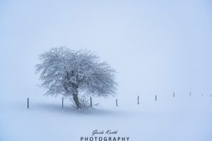 Mehr über den Artikel erfahren Minimalistisch schön…