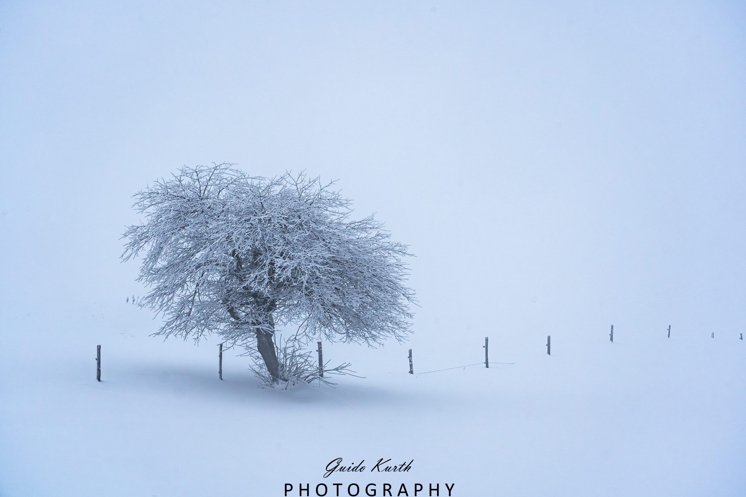Du betrachtest gerade Minimalistisch schön…