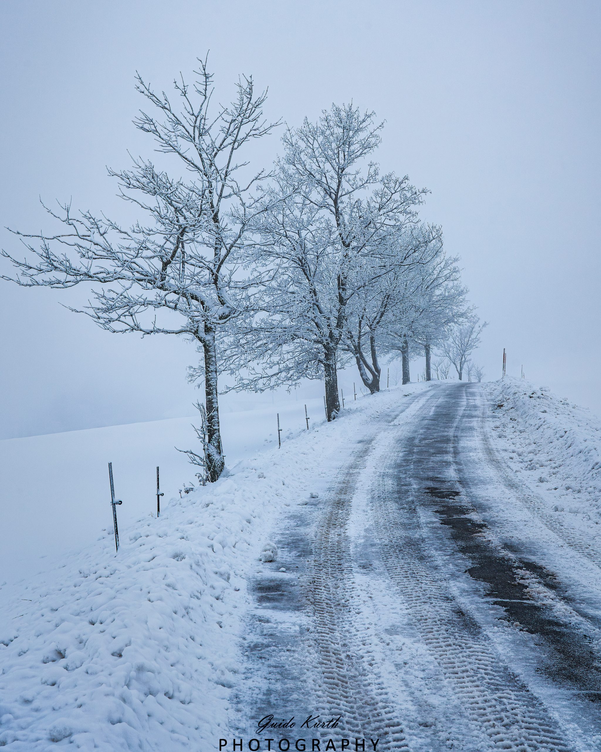 Du betrachtest gerade Winterliche Allee…