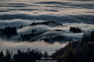 Mehr über den Artikel erfahren Nebel Magie…