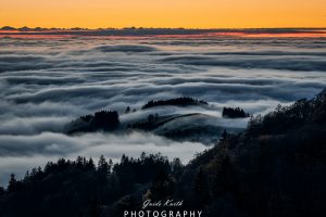 Mehr über den Artikel erfahren Nebel Magie…