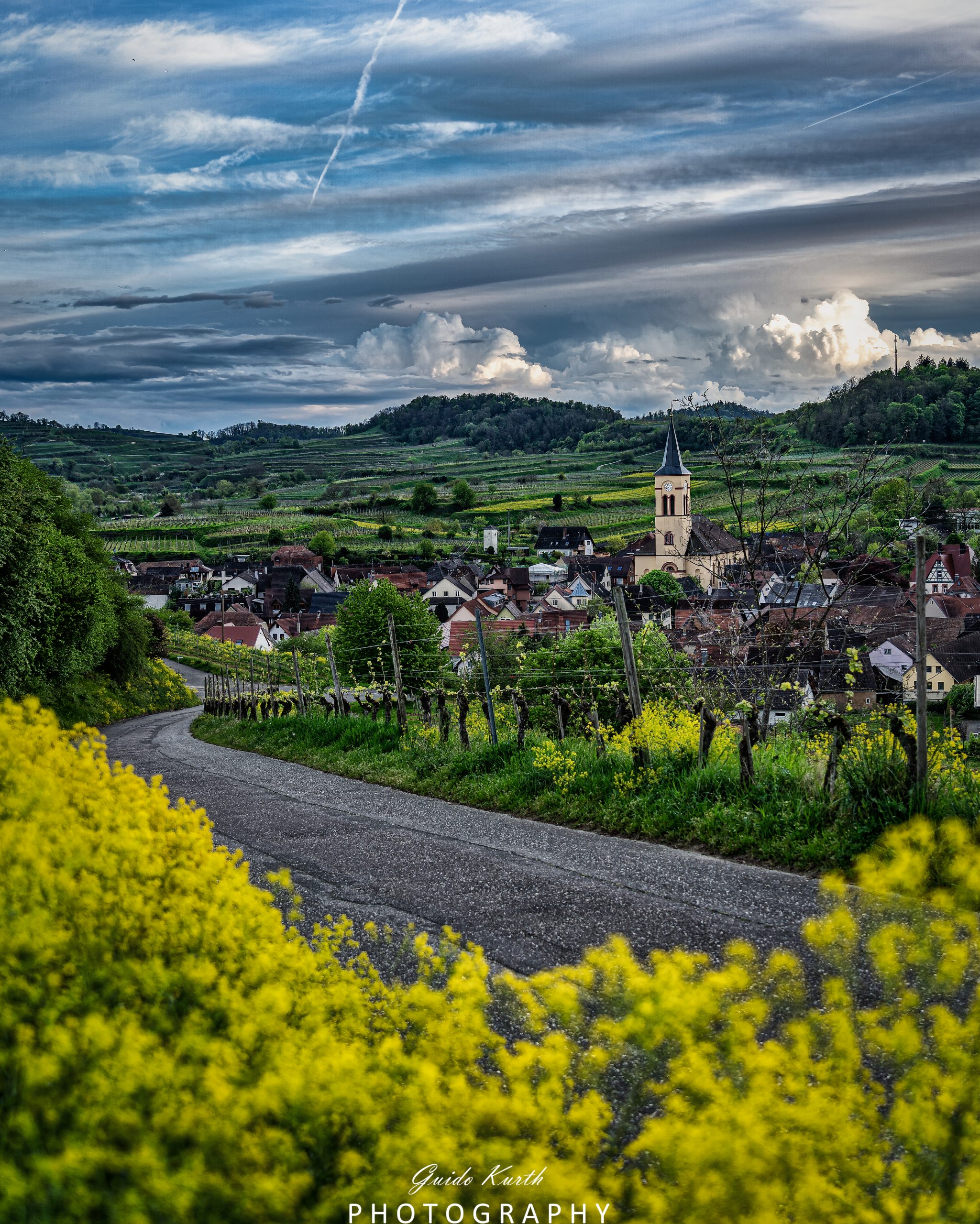 Du betrachtest gerade Der Frühling erwacht…