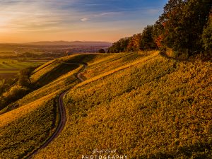 Mehr über den Artikel erfahren Goldener Herbst…