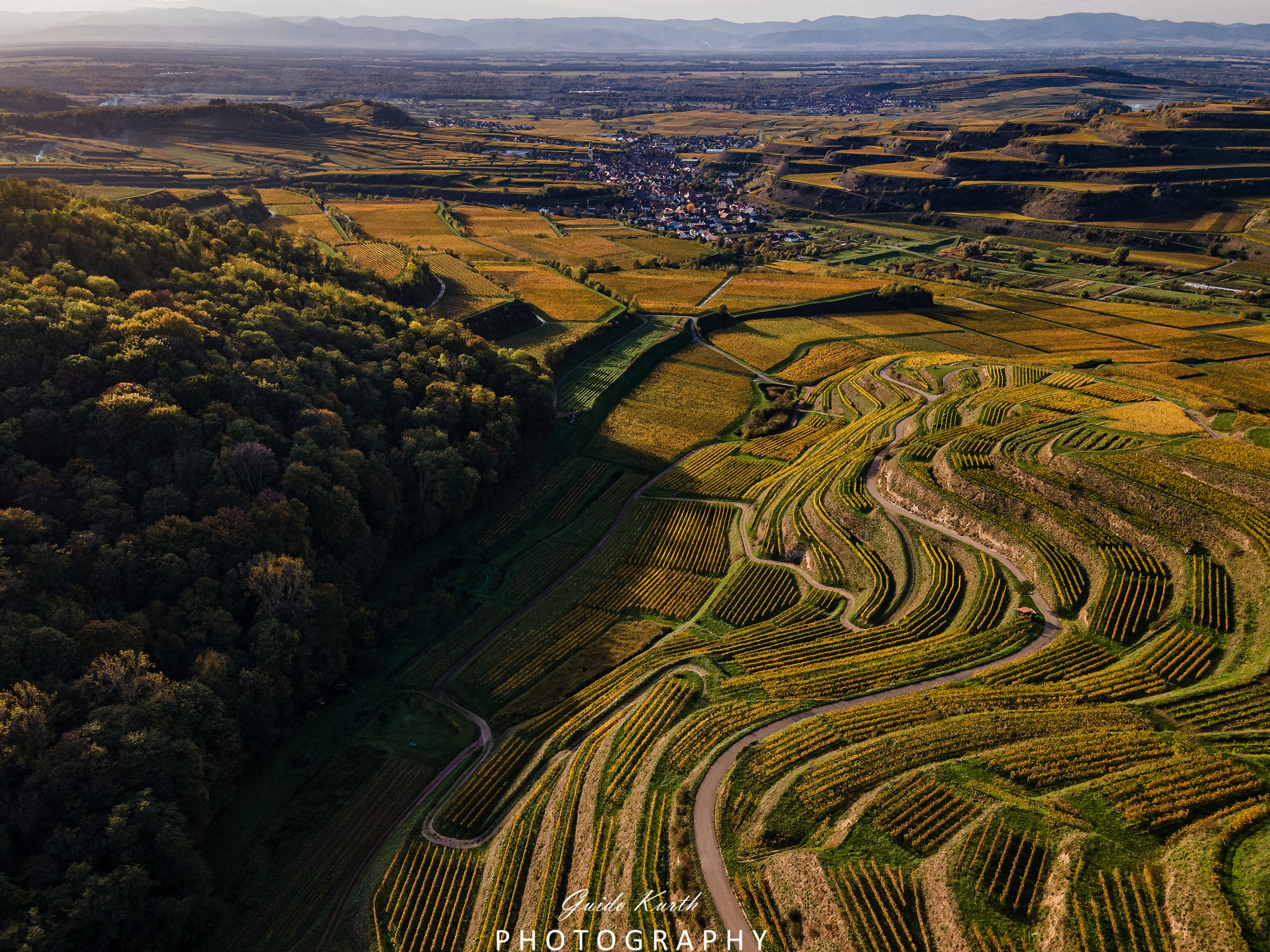 Mehr über den Artikel erfahren Herbst in den Reben…