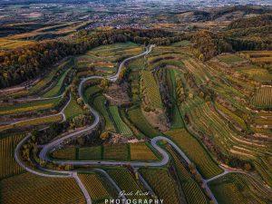 Mehr über den Artikel erfahren Kaiserstuhl Schleife…