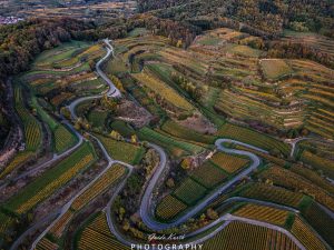 Mehr über den Artikel erfahren Kaiserstuhl Schleifen…