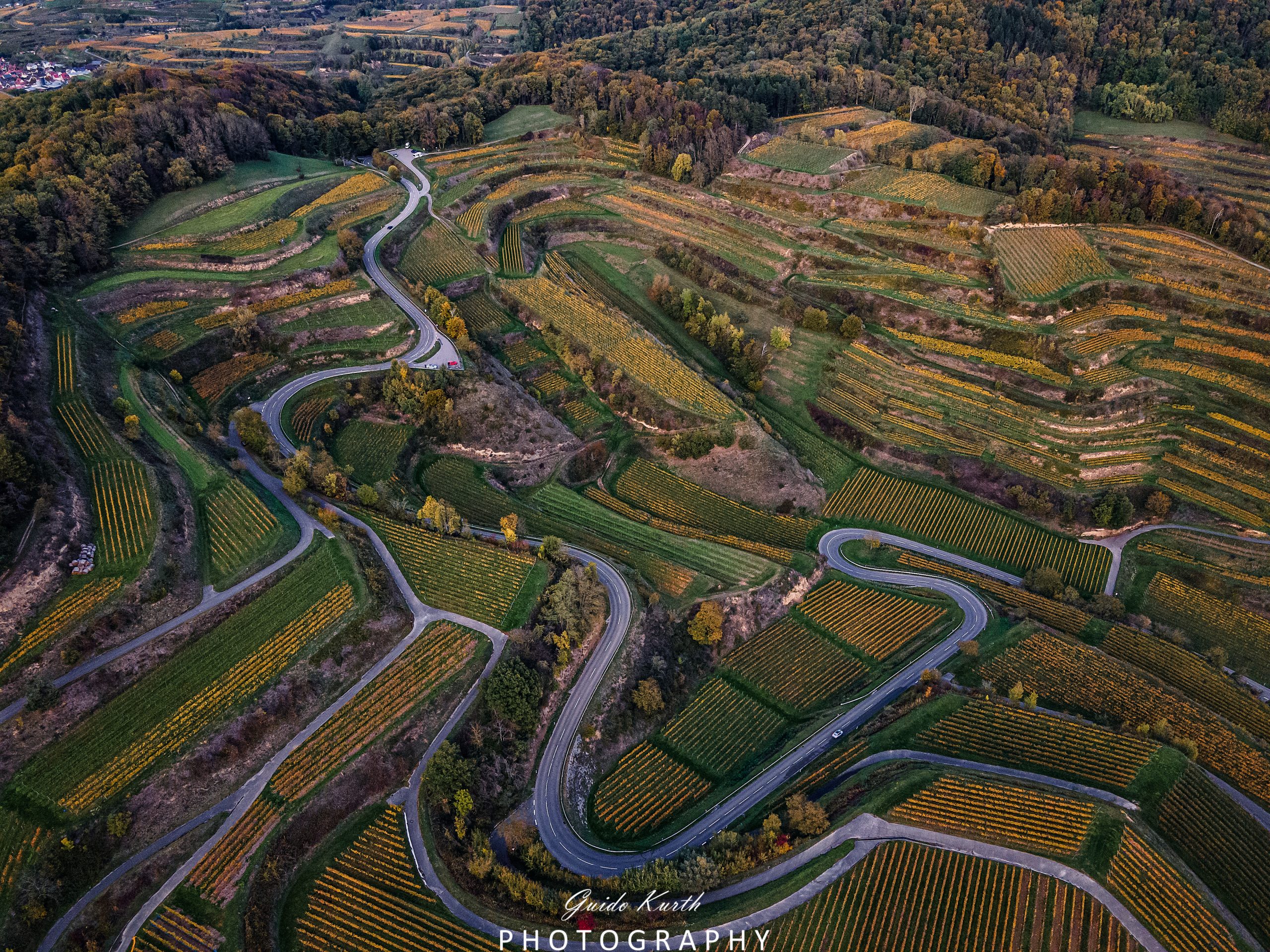 Du betrachtest gerade Kaiserstuhl Schleifen…