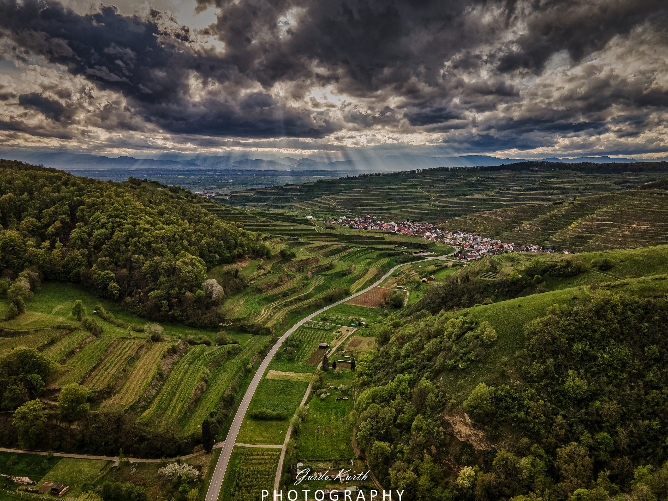 Du betrachtest gerade Vogel Perspektive…