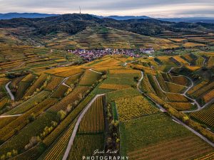 Mehr über den Artikel erfahren Texaspass…