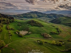 Mehr über den Artikel erfahren Vogel Perspektive…