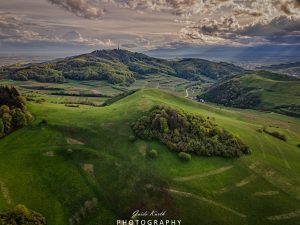 Mehr über den Artikel erfahren Vogel Perspektive…