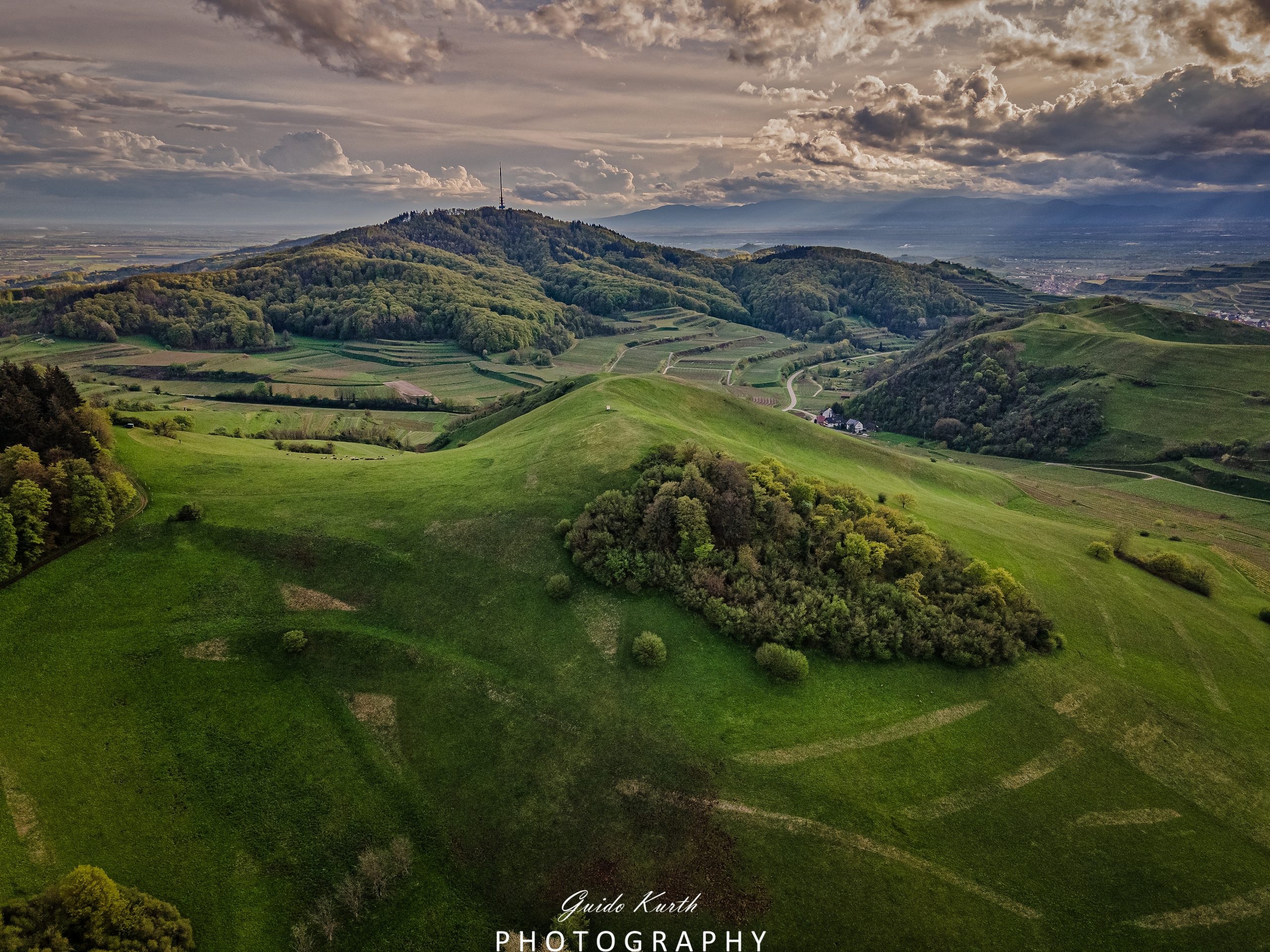 Mehr über den Artikel erfahren Vogel Perspektive…