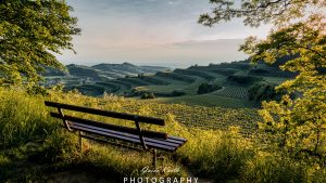 Mehr über den Artikel erfahren Genussecke am Kaiserstuhl…