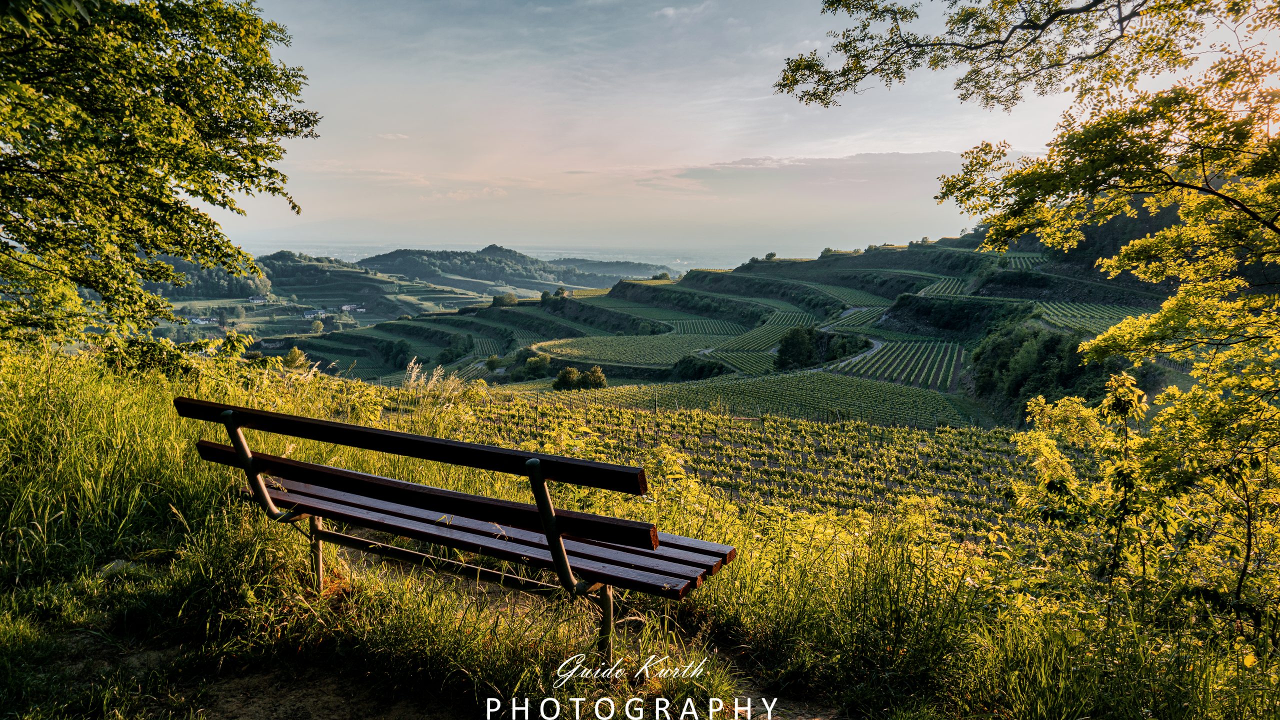 Mehr über den Artikel erfahren Genussecke am Kaiserstuhl…