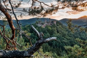 Mehr über den Artikel erfahren Blick zur Burg Alt Dahn…
